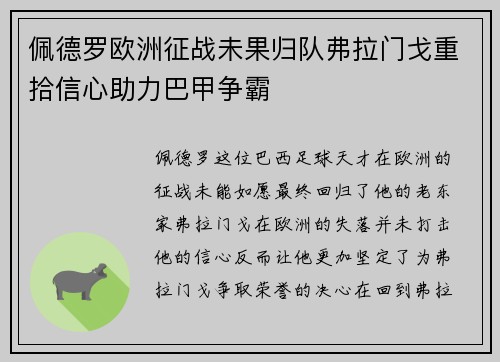 佩德罗欧洲征战未果归队弗拉门戈重拾信心助力巴甲争霸 佩德罗欧洲征战未果归队弗拉门戈重拾信心助力巴甲争霸